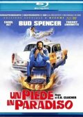 img Un piede in paradiso (1991)  1080p x264 AC3 iTA