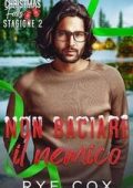 Rye Cox - Non baciare il nemico (2025)