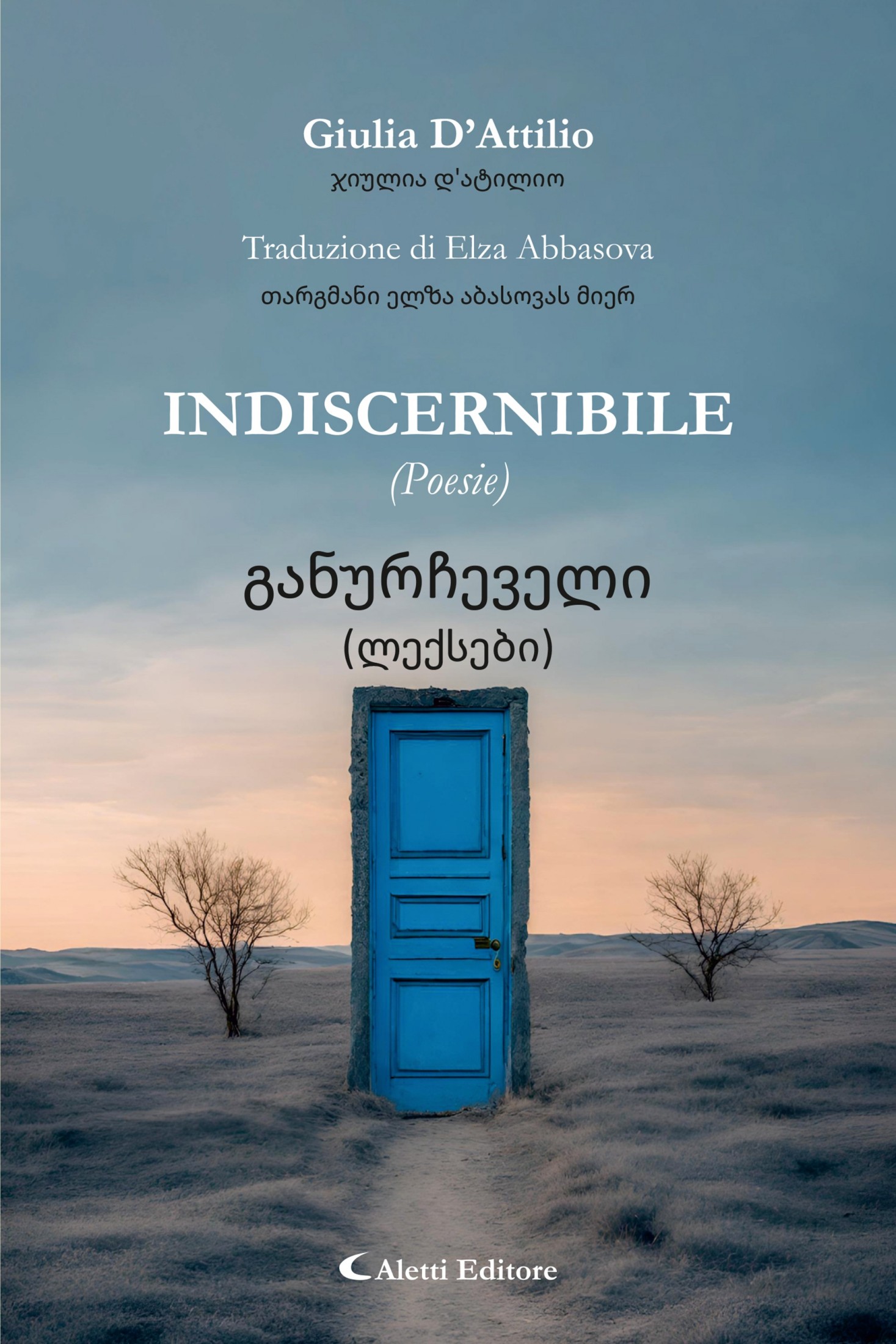 Giulia D’Attilio – Indiscernibile. Poesie (2025)