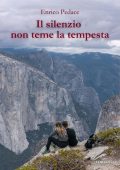 Enrico Pedace - Il silenzio non teme la tempesta (2025)