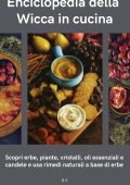 Lloyd Haughton - Enciclopedia della Wicca in cucina (2025)