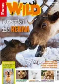 Focus Wild - Gennaio 2026 [True PDF]