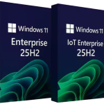 img Windows 11 Enterprise/Iot Enterprise 25H2 Build 26200.7462 (non è richiesto TPM) Preattivato a
