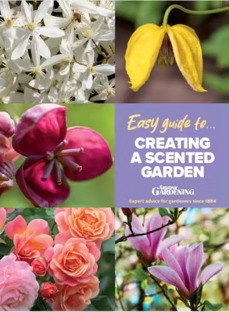 Amateur Gardening Easy Guide To… Creating A Scented Garden – Issue 14, 2026 (True PDF)