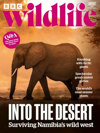 BBC Wildlife Magazine – August 2026 (True PDF)