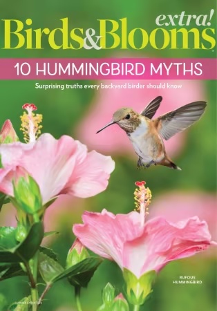 Birds and Blooms Extra – Summer 2026