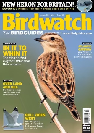 Birdwatch UK – August 2026