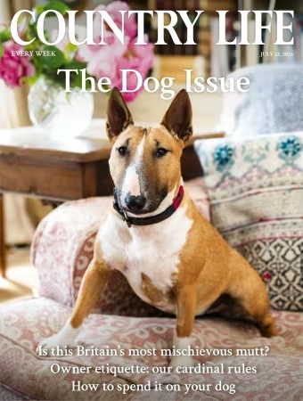 Country Life UK – July 22, 2026