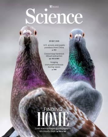Science – Issue 6801 Volume 392, May 28, 2026
