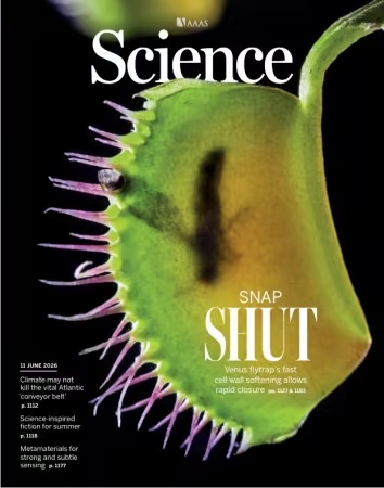 Science – Issue 6803 Volume 392, June 11, 2026
