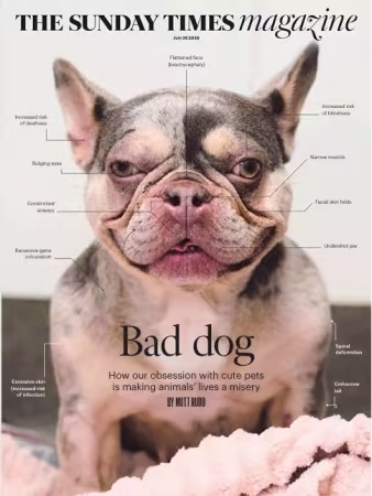 The Sunday Times Magazine – July 26, 2026