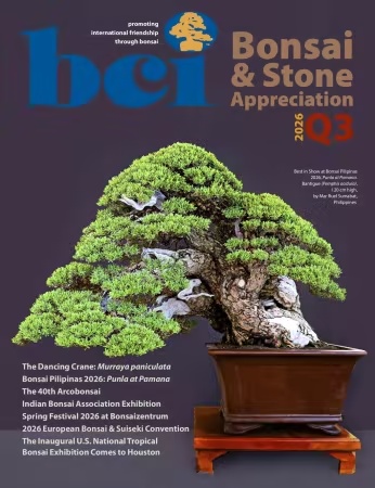 BCI Bonsai & Stone Appreciation Magazine – Volume 65 Number 3, Q3 2026