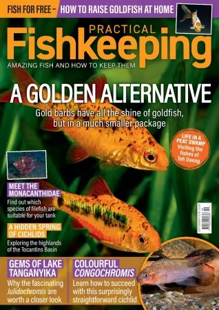 Practical Fishkeeping – September 2026