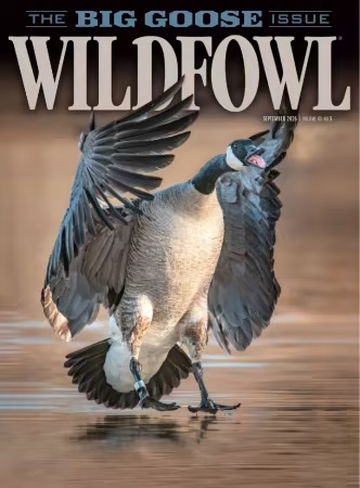 Wildfowl – September 2026