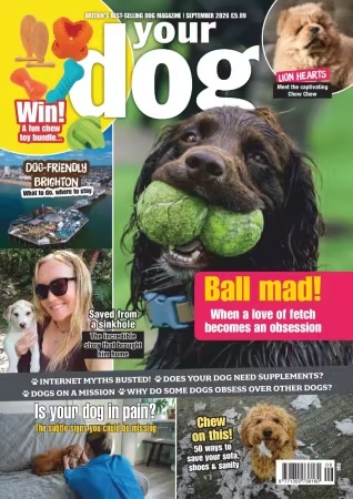 Your Dog – September 2026