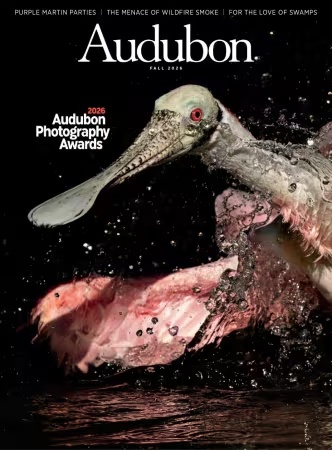 Audubon Magazine – Fall 2026