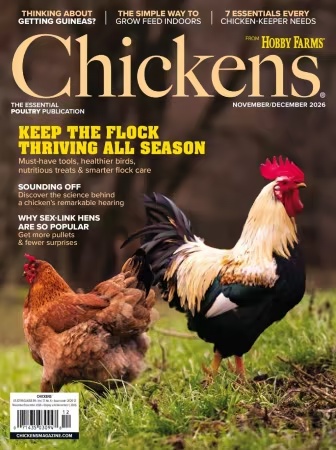 Chickens – November/December 2026