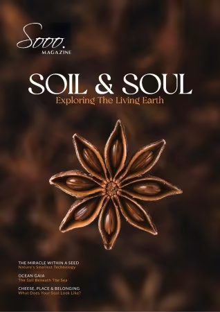 Sooo. Magazine – Water Soil, Fall 2026