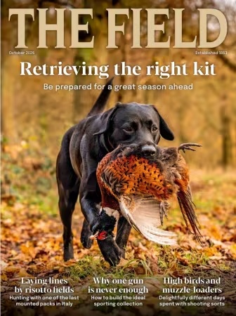 The Field – October 2026