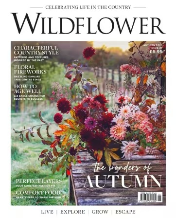 Wildflower – Issue 27, 2026